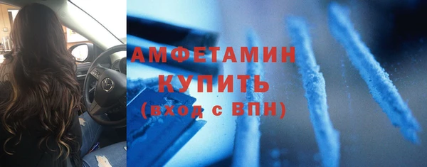 шишки Белоозёрский