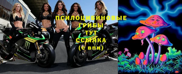 шишки Белоозёрский