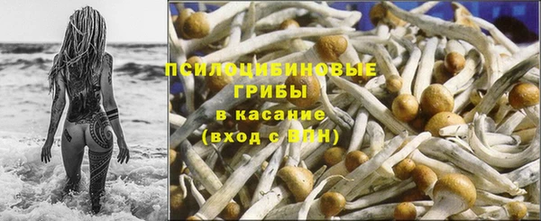 шишки Белоозёрский