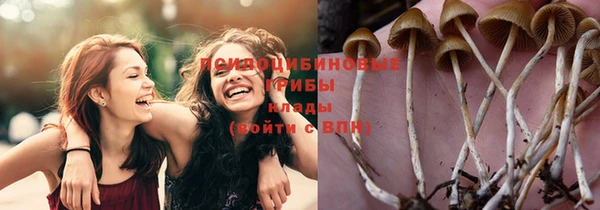 шишки Белоозёрский