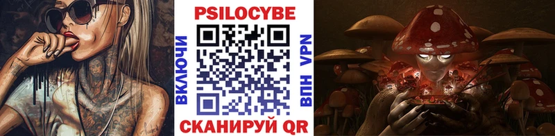 Псилоцибиновые грибы мухоморы  закладка  Донецк 